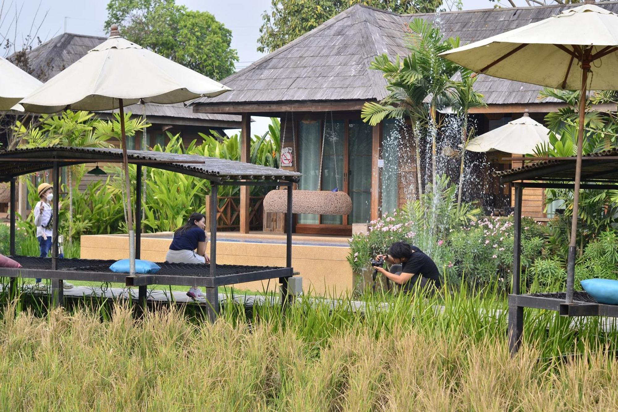 Tongna Cottage Natural Resort Chiang Mai Exterior foto