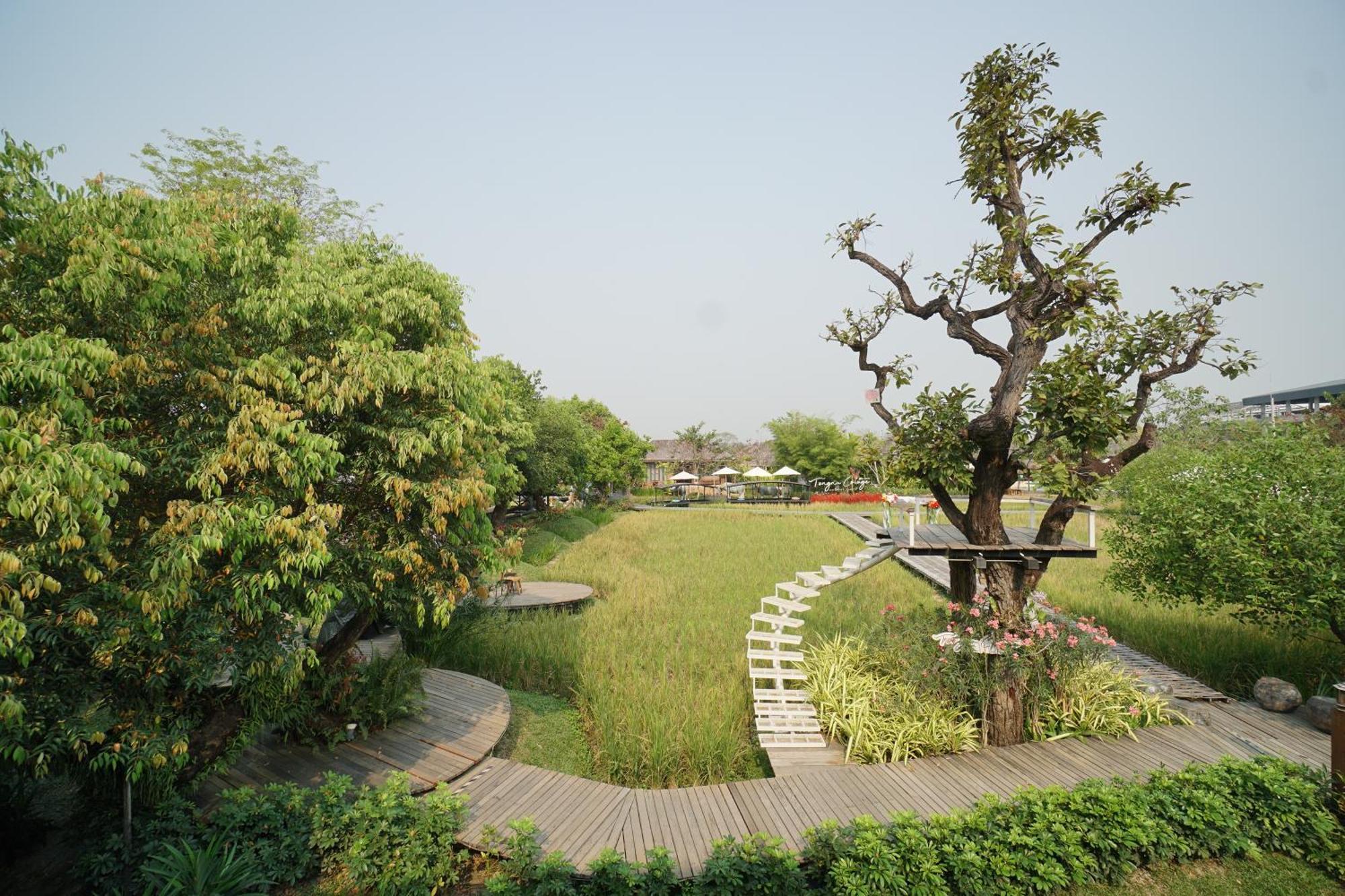 Tongna Cottage Natural Resort Chiang Mai Exterior foto